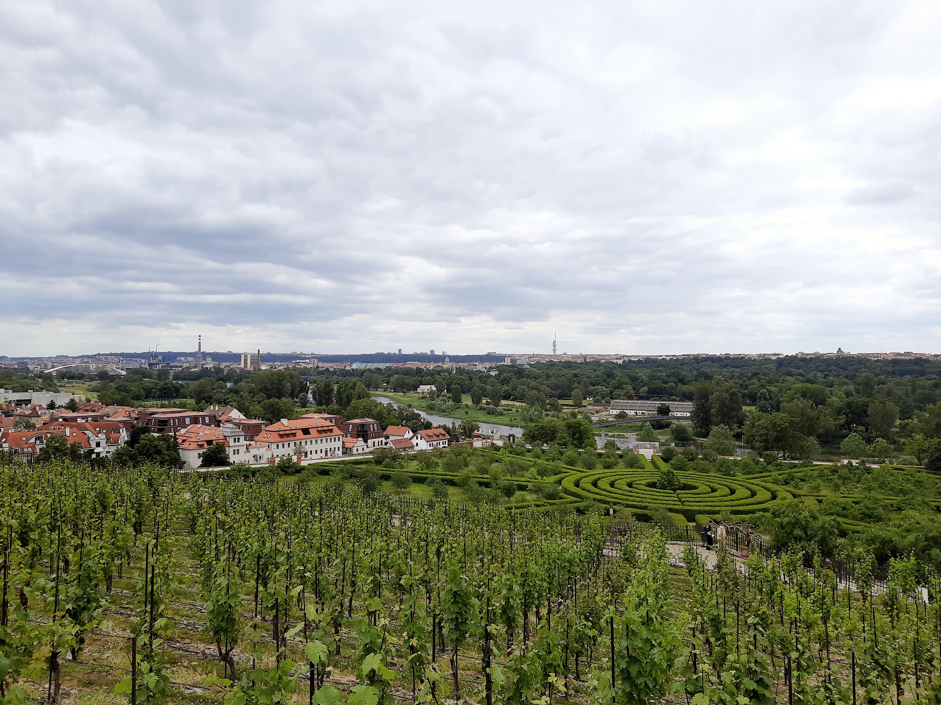 Viñedos a las afueras de Praga